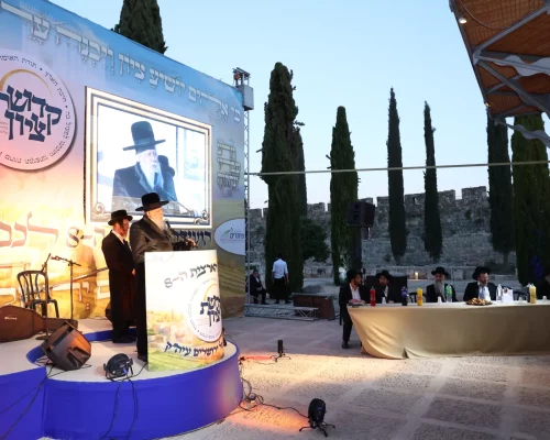 ועידה 8 קדושת ציון (18)